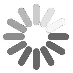 spin.js